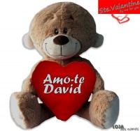 Urso Peluche C/Coração 20 cm 700BV0020ASV